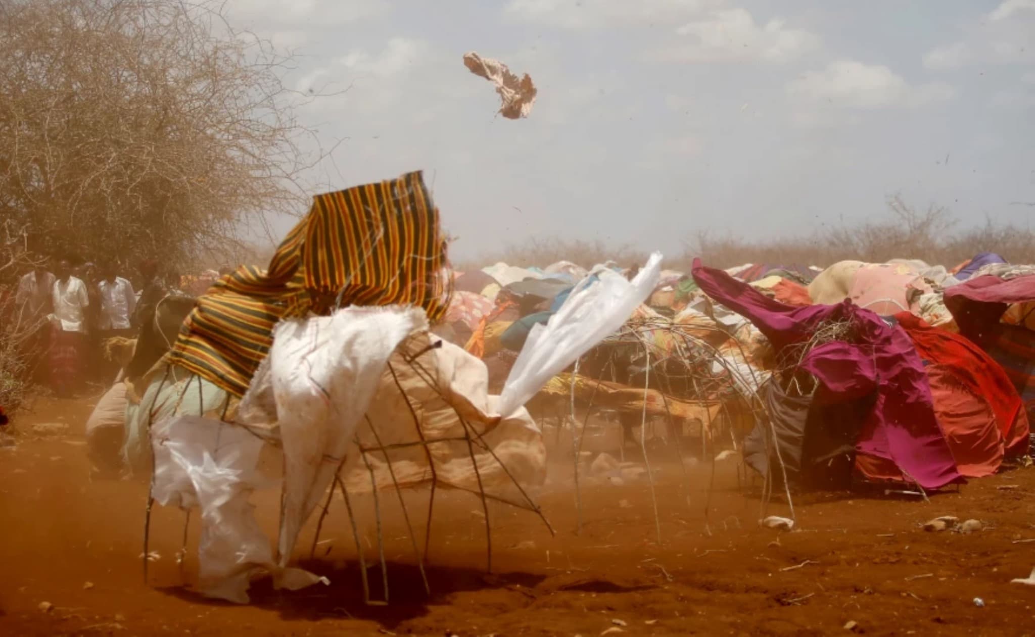 Communities affected by drought and displacement in Somaliland